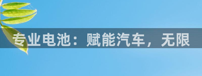 优发国际随优而动一触即发：专业电池：赋能汽车，无限